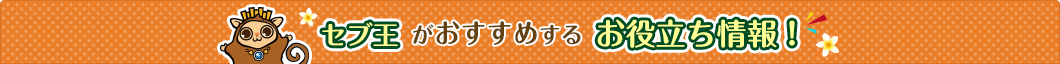 セブ王おすすめお役立ち情報